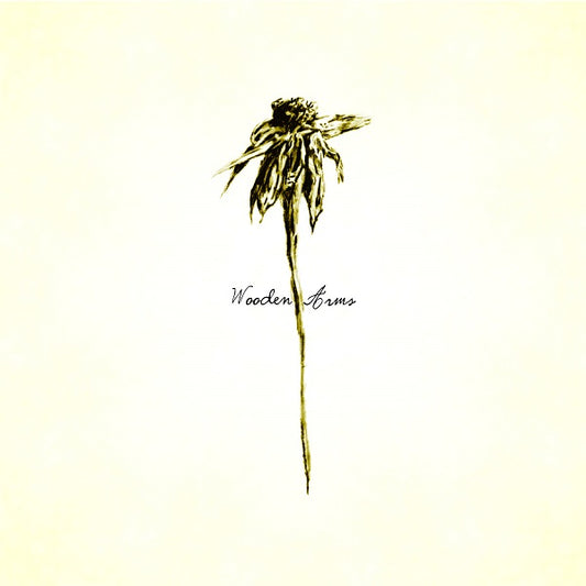 Patrick Watson | Wooden Arms - CD