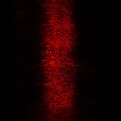 PAUL JEBANASAM | Rites - CD