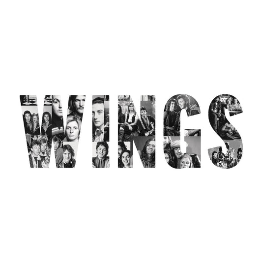 Paul Mccartney And Wings | Wings [Deluxe 180G 3LP] - Vinyl