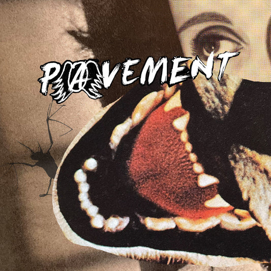 Pavement | Hecklers Choice: Big Gums And Heavy Lifters - A Pavement Collection - Vinyl