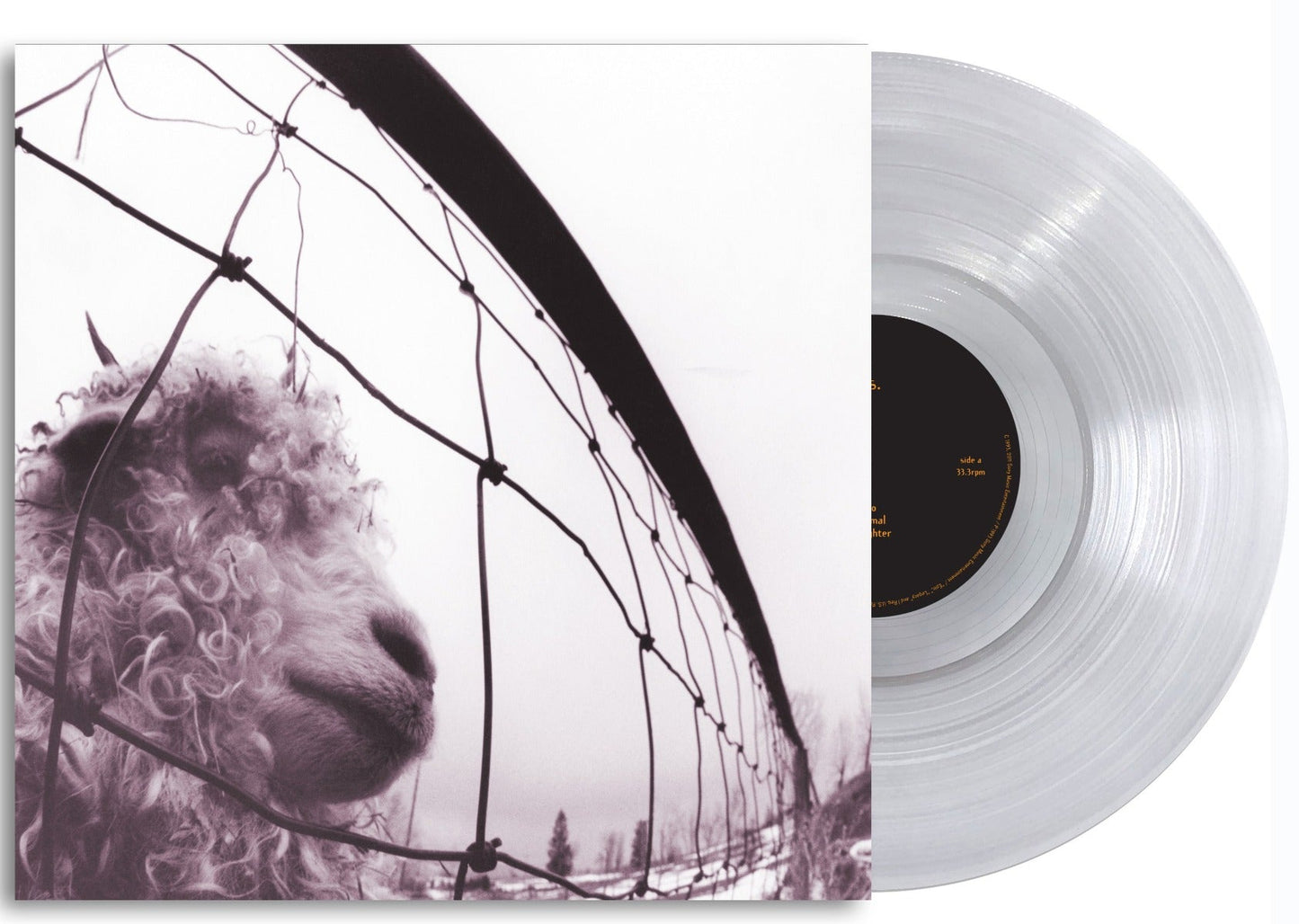 Pearl Jam | Vs. (Clear Vinyl) - Vinyl