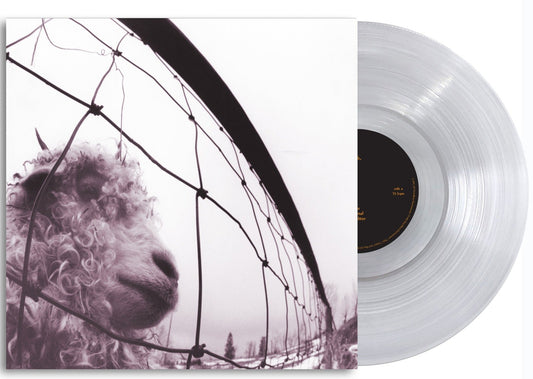 Pearl Jam | Vs. (Clear Vinyl) - Vinyl