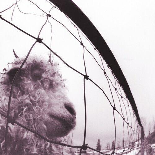Pearl Jam | Vs. (Clear Vinyl) - Vinyl