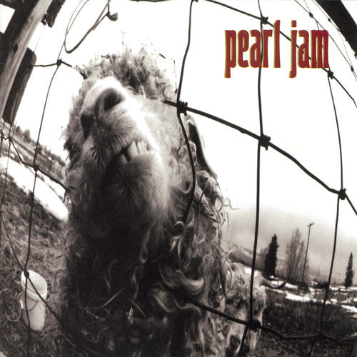 Pearl Jam | Vs. - CD