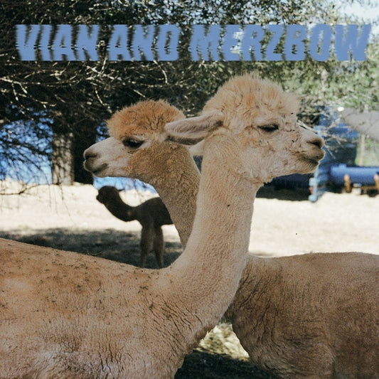 PEDRO VIAN & MERZBOW | Inside Richard Serra Sculptures - Vinyl