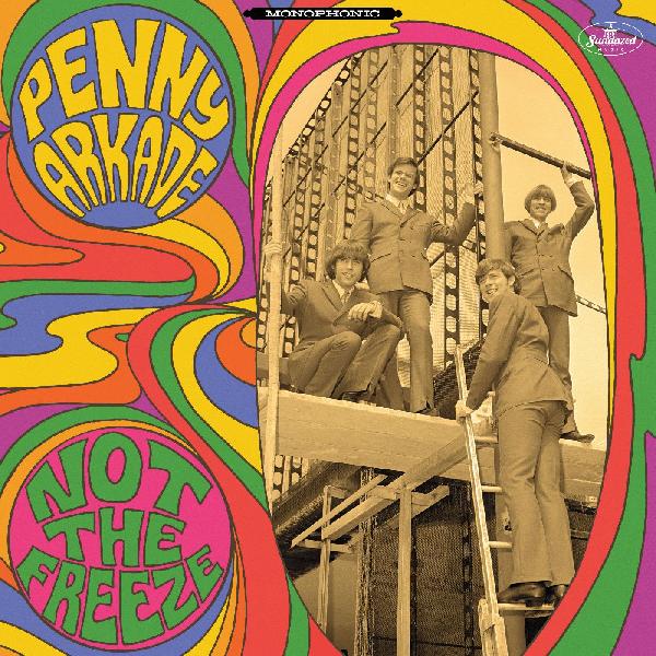 Penny Arkade | Not The Freeze (GREEN & PURPLE VINYL) - Vinyl