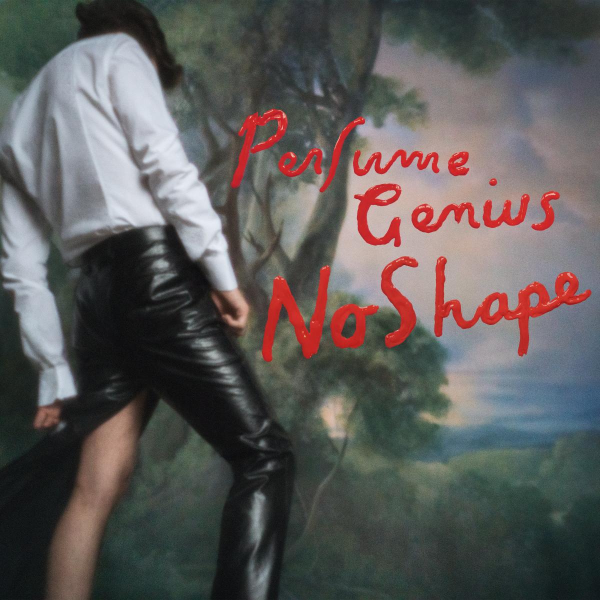 Perfume Genius | No Shape - Vinyl