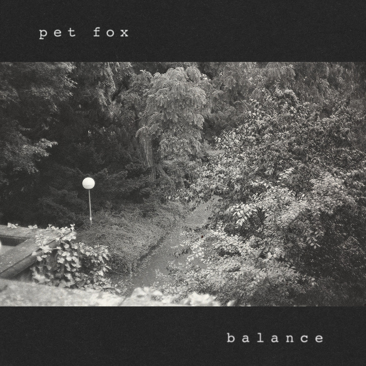 Pet Fox | Balance (Cobweb Colored Vinyl) - Vinyl