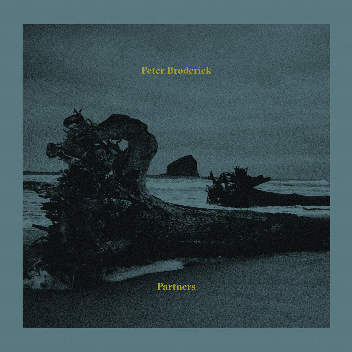Peter Broderick | Partners - CD