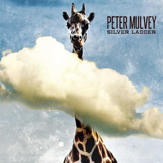 Peter Mulvey | Silver Ladder - CD