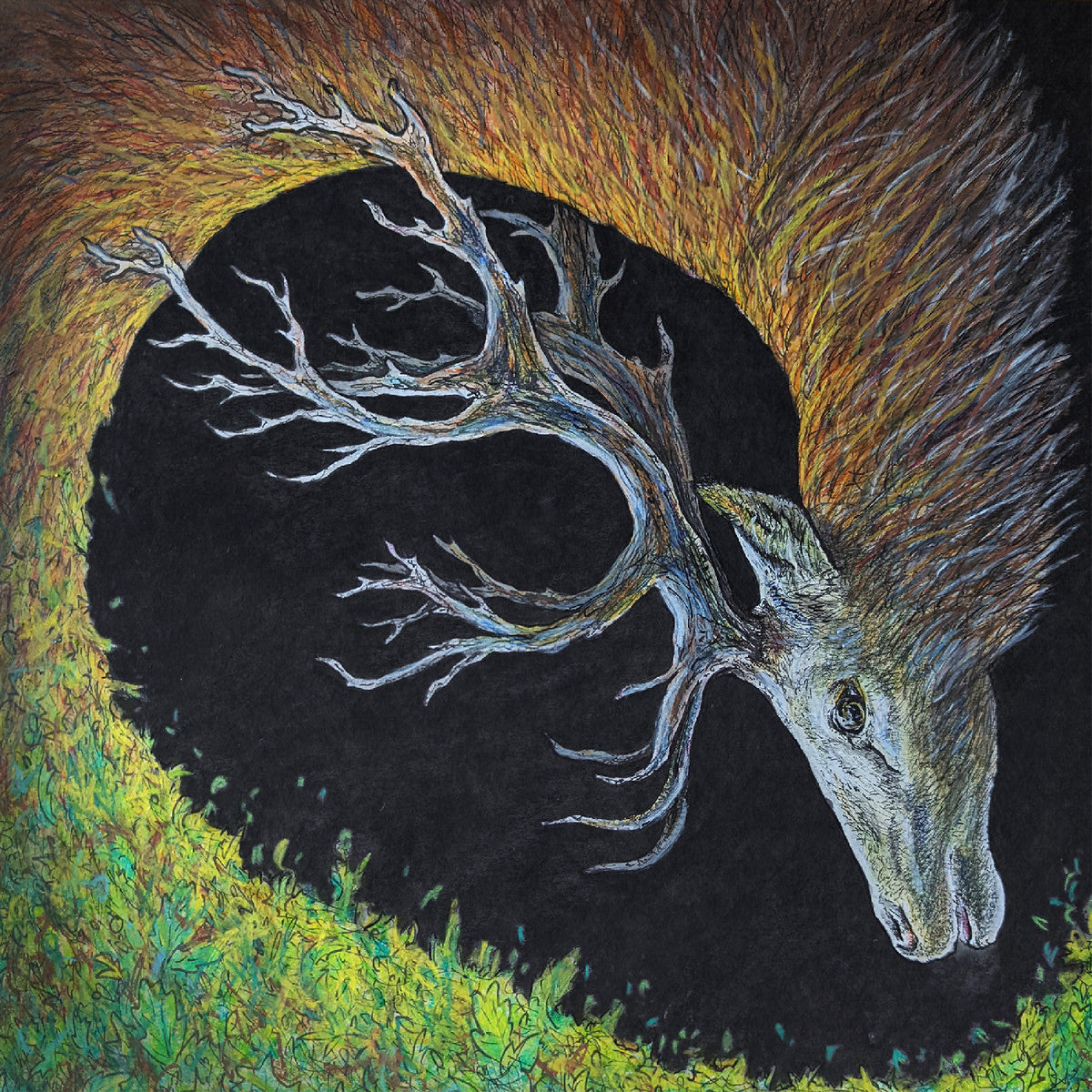 Petrels | Infangthief - CD