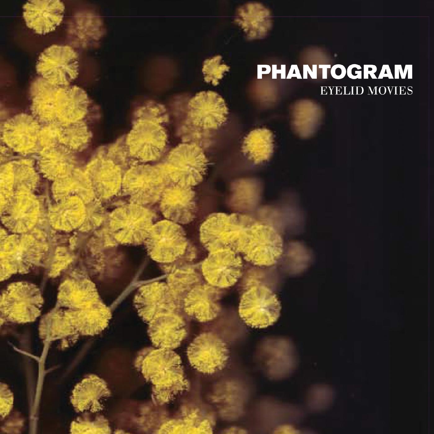 Phantogram | Eyelid Movies (Clear W/ Yellow Swirl Vinyl) - Vinyl