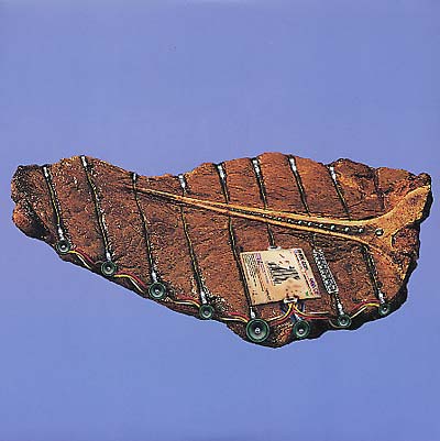 PHOENECIA | Odd Job - Vinyl