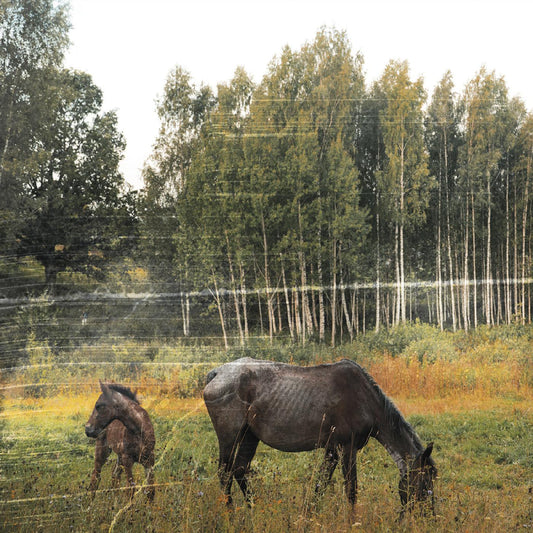 Pianos Become The Teeth | Old Pride (FOREST GREEN VINYL) - Vinyl