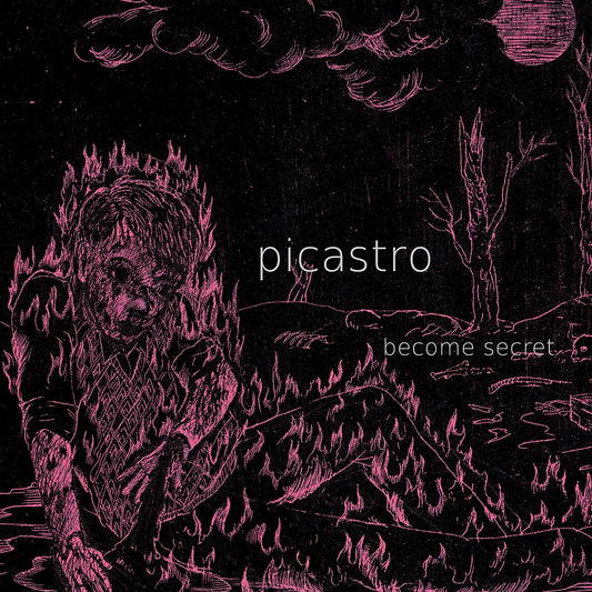 Picastro | Become Secret - CD