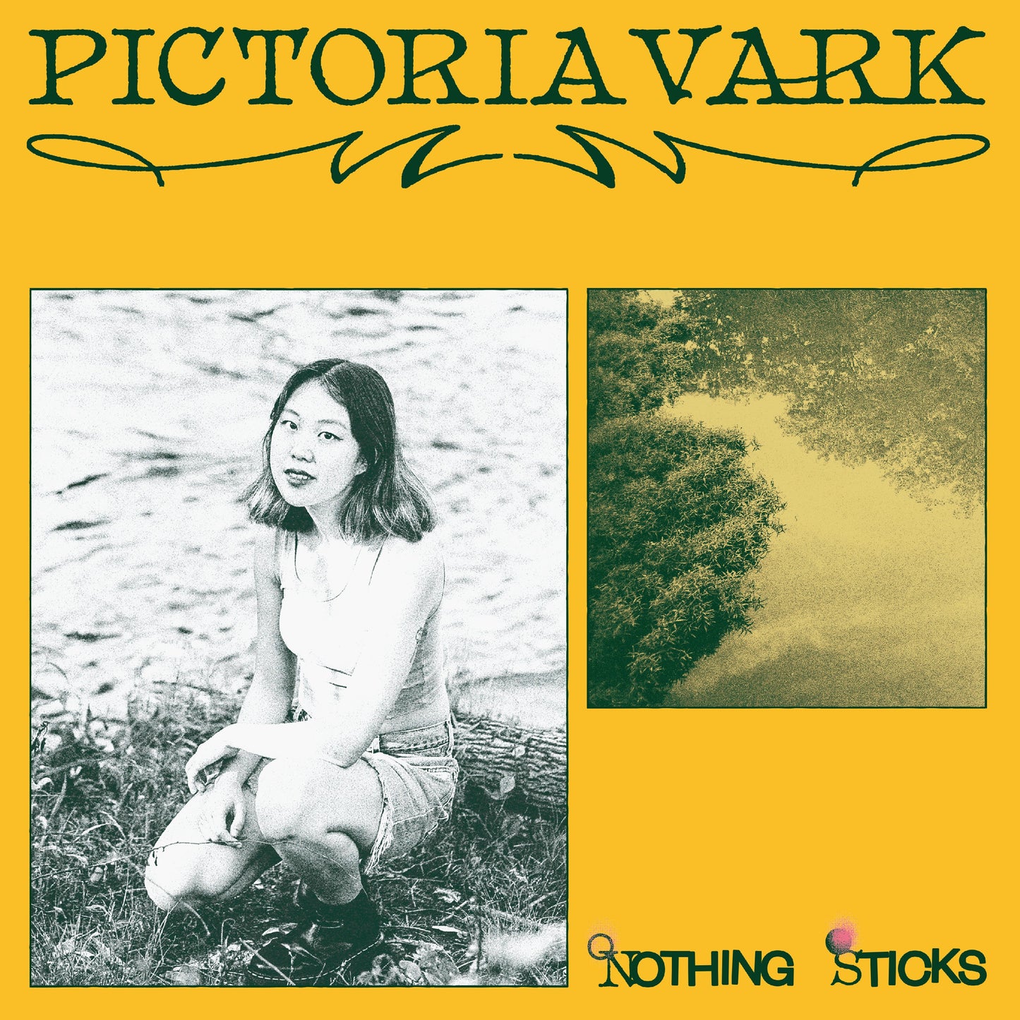 Pictoria Vark | Nothing Sticks - Vinyl