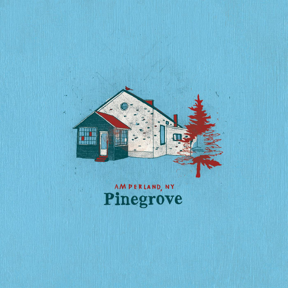 Pinegrove | Amperland, NY - CD