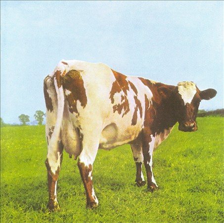 Pink Floyd | Atom Heart Mother (Remastered,180 Gram Vinyl, Gatefold LP Jacket) - Vinyl
