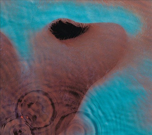 Pink Floyd | Meddle (Remastered) - CD