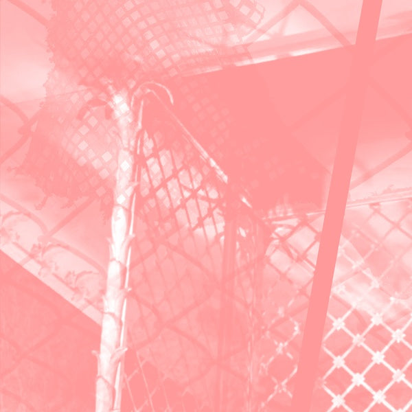 PINKCOURTESYPHONE | All Intensive Purposes - CD