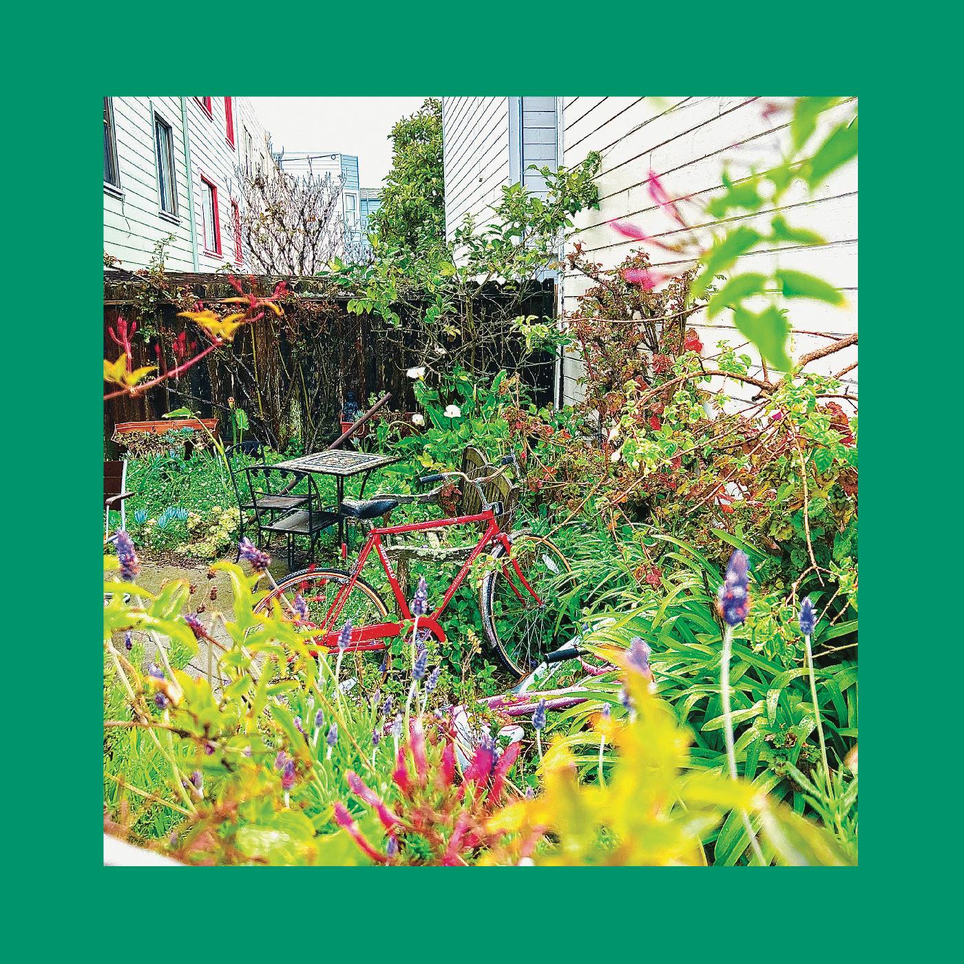 Pinks & Purples Reds | Unwishing Well - CD