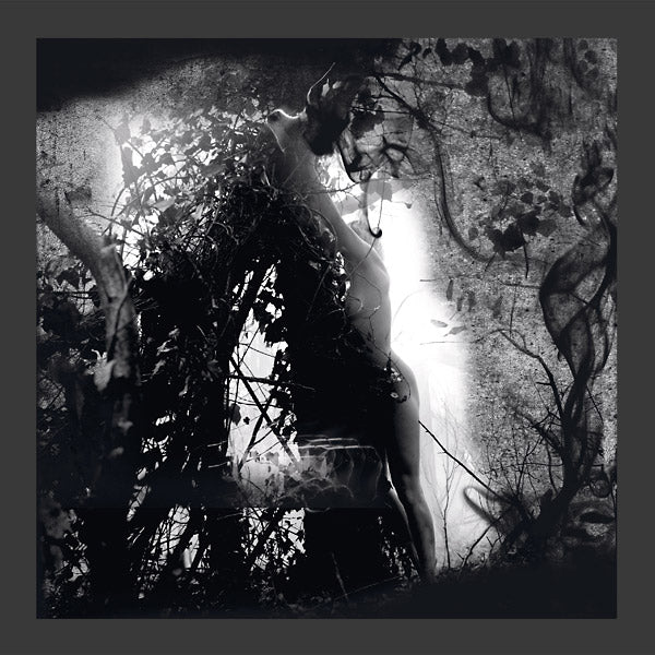 PISETZKY | Tears Of A Rough Machine - Vinyl
