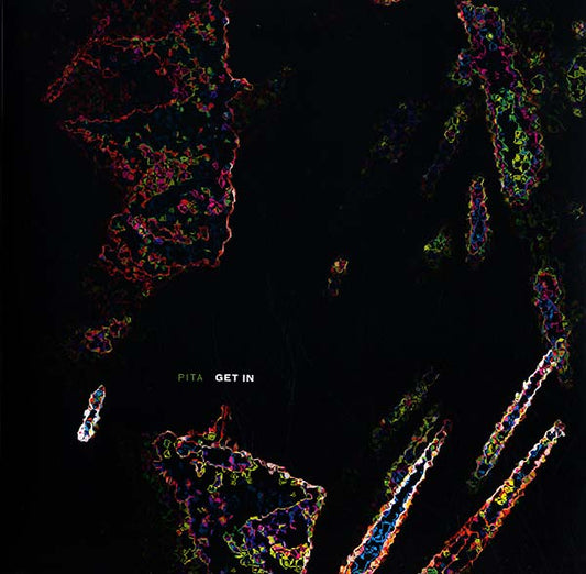 PITA | Get In - Vinyl