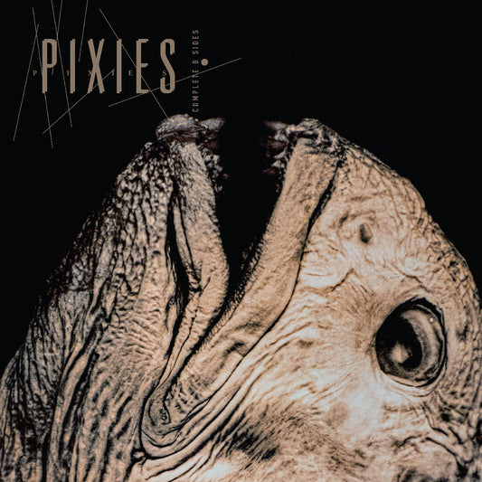Pixies | Complete B Sides: 1988-97 - CD