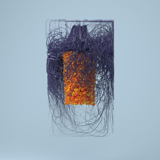 Plaid | Polymer - CD