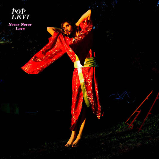 Pop Levi | Never Never Love - Vinyl