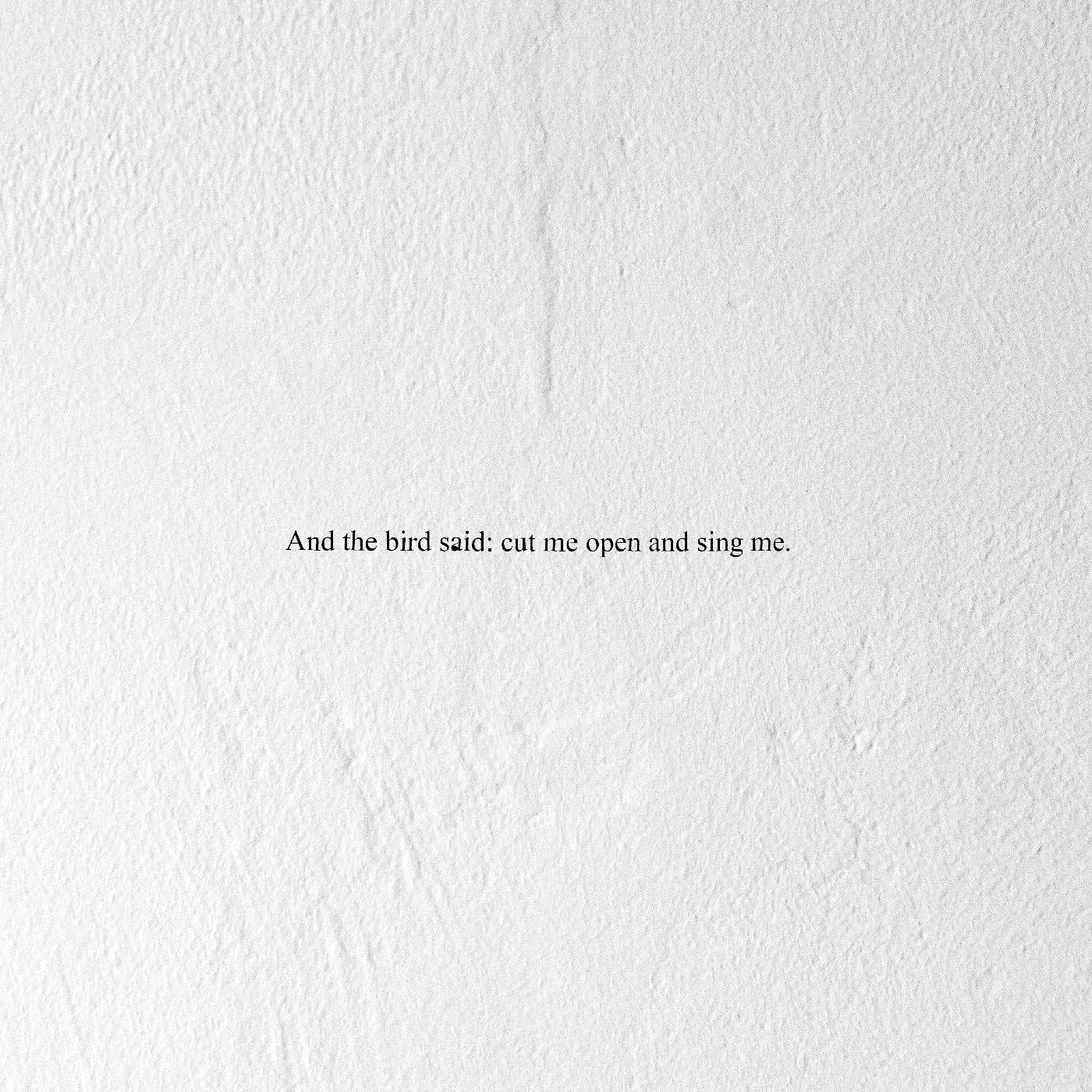 Prairie | And the Bird Said: Cut Me Open and Sing Me - Vinyl
