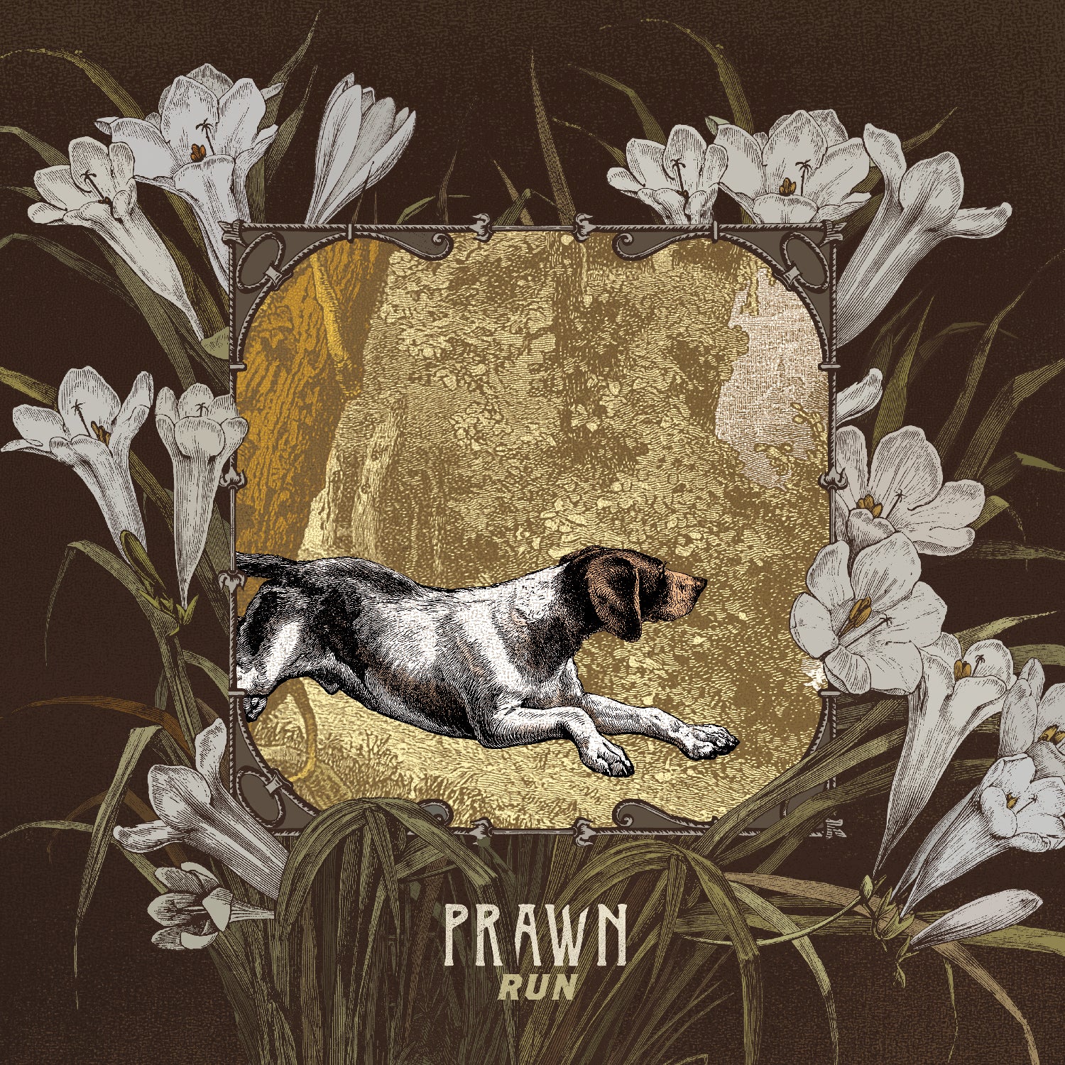 Prawn | Run - CD