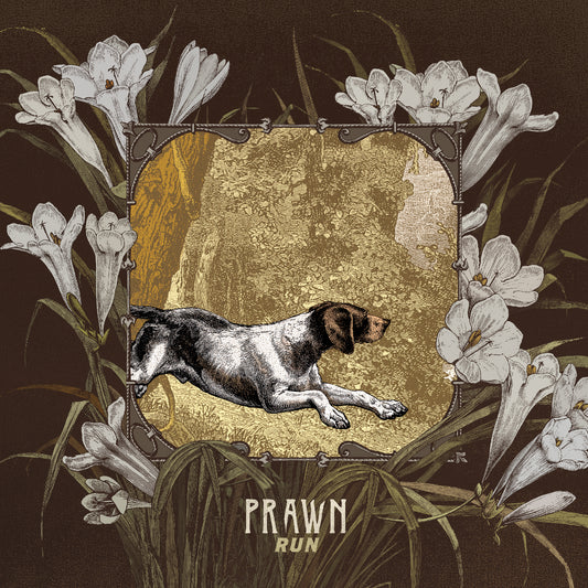 Prawn | Run - CD