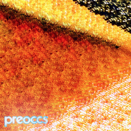 Preoccupations | Mur/Ponr (Yellow Vinyl) - Vinyl