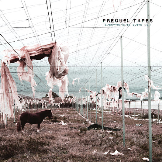 Prequel Tapes | Everything Is Quite Now - Vinyl