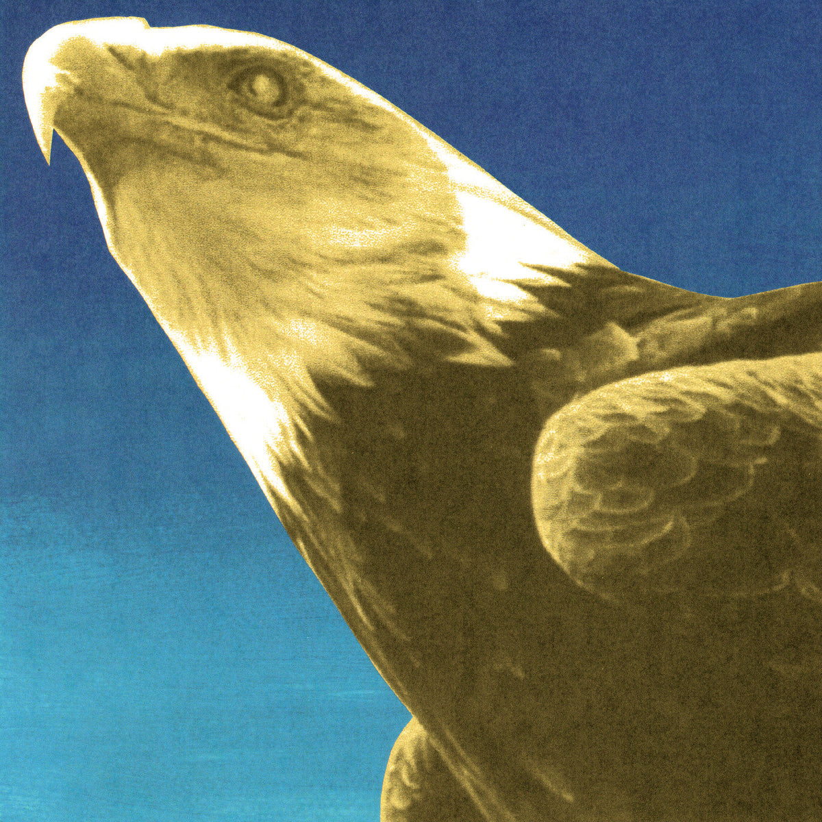 Protomartyr | Hotel Usona (Indie Exclusive) [Gold Vinyl] - Vinyl