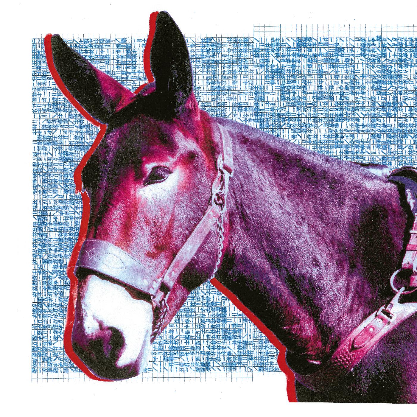Protomartyr | Ultimate Success Today - CD