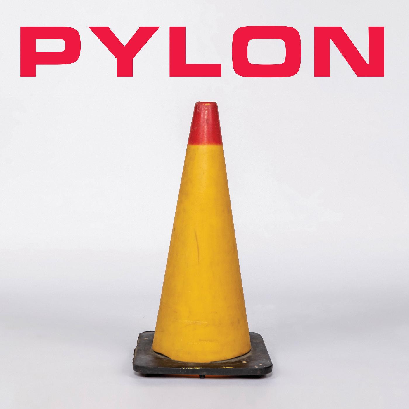 Pylon | Pylon Box - CD