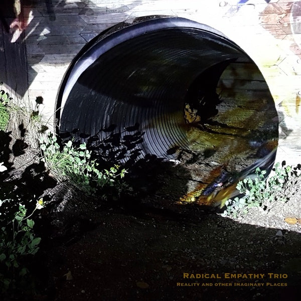 RADICAL EMPATHY TRIO | Reality And Other Imaginary Places - Vinyl
