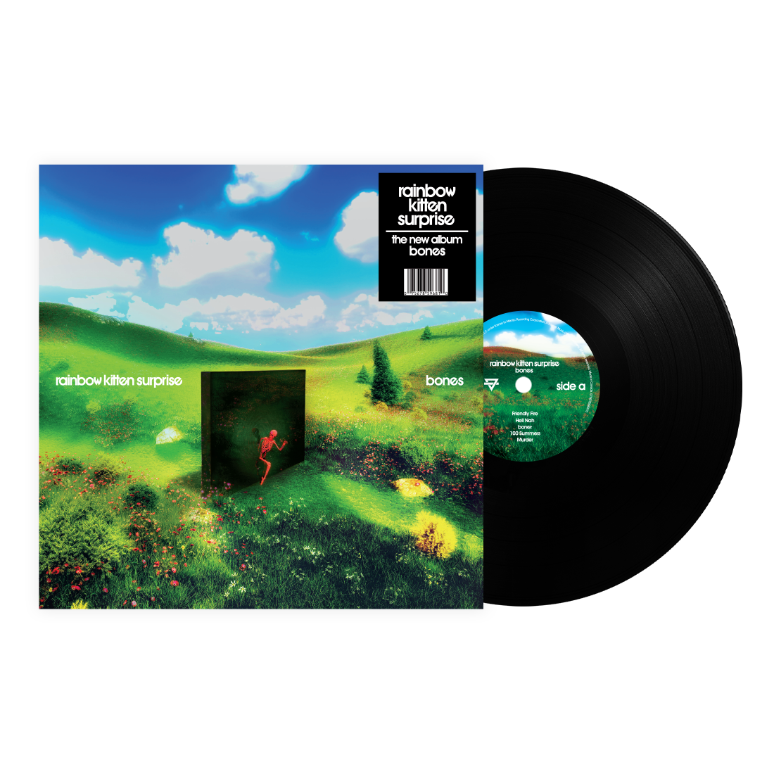Rainbow Kitten Surprise | Bones (Standard Black Vinyl) - Vinyl