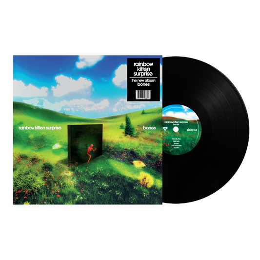 Rainbow Kitten Surprise | Bones (Standard Black Vinyl) - Vinyl