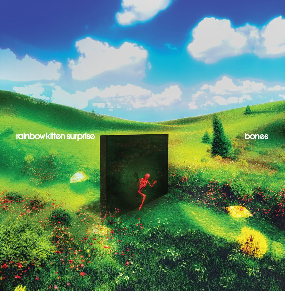Rainbow Kitten Surprise | Bones (Standard Black Vinyl) - Vinyl