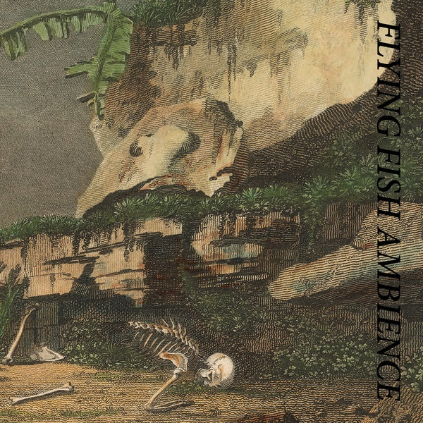 RAINFOREST SPIRITUAL ENSLAVEMENT | Flying Fish Ambience - CD