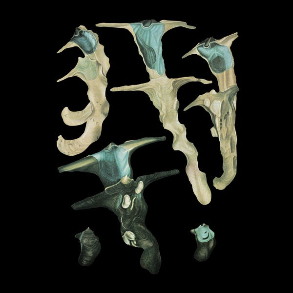 RAINFOREST SPIRITUAL ENSLAVEMENT | Jellyfish Reproduce Black Magic - Vinyl