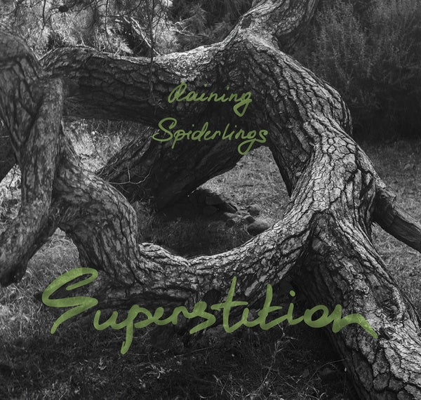 RAINING SPIDERLINGS | Superstition - CD