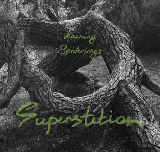 RAINING SPIDERLINGS | Superstition - CD