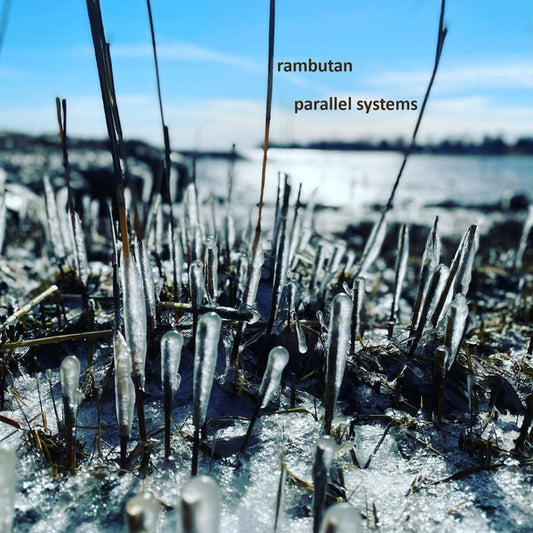 RAMBUTAN | Parallel Systems - CD