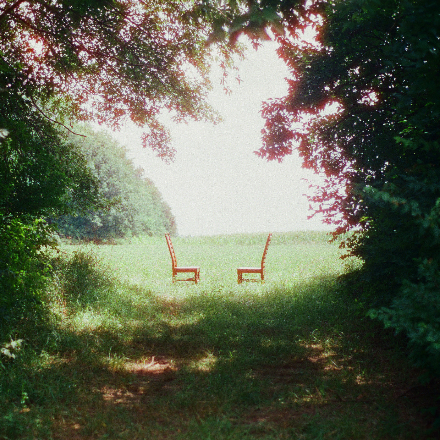 Ratboys | Singin' To An Empty Chair (Indie Exclusive, Green And Brown Marble Vinyl) - Vinyl