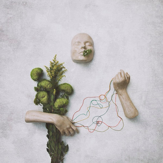 red steppes | A Mouth May Grow - Vinyl