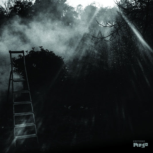 REINHOLD FRIEDL & ERYCK ABECASSIS | Animal Electrique - Vinyl